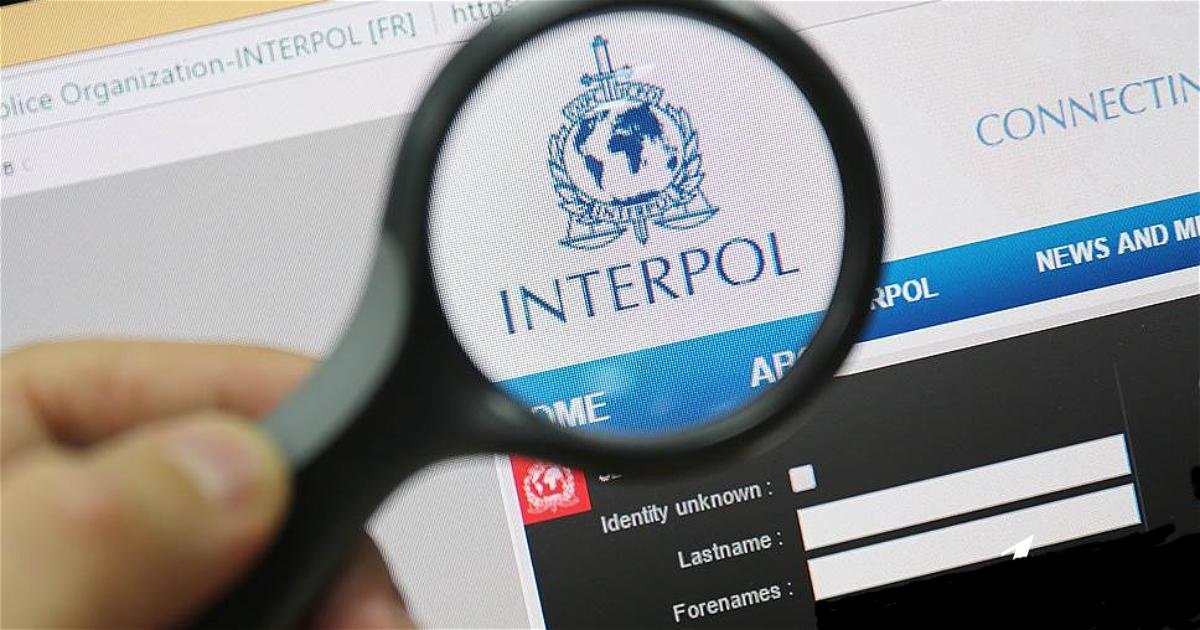 Interpol Database Deletion Requests
