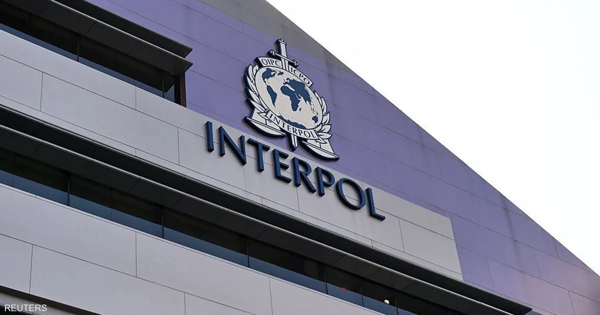 interpol lawyer